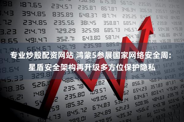 专业炒股配资网站 鸿蒙5参展国家网络安全周: 星盾安全架构再升级多方位保护隐私